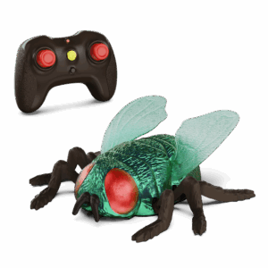 rc fly by Terra